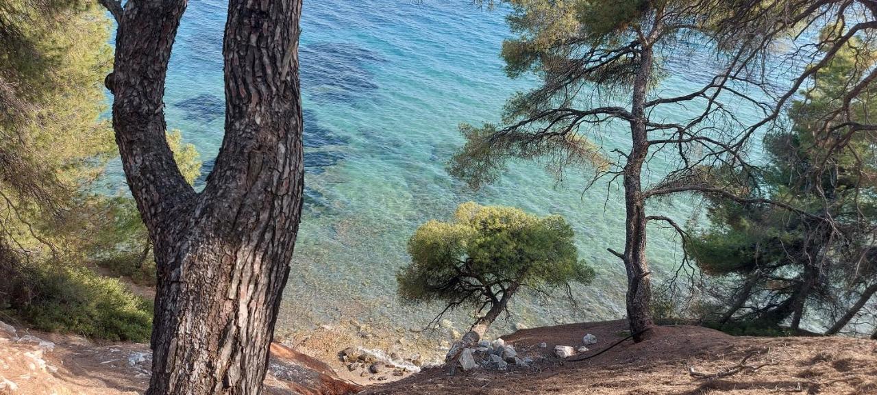 "Pine&Sea" Kastamoniti Beach 니키티 외부 사진
